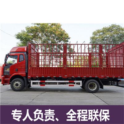 江門到百色樂業縣物流公司
